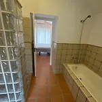 Apolo