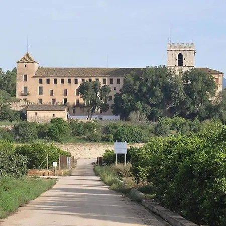 فيلة Apolo غانديا