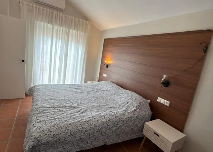 Apolo فيلة غانديا